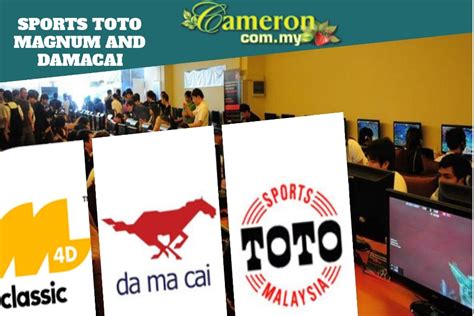 toto magnum